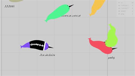 narwhale io